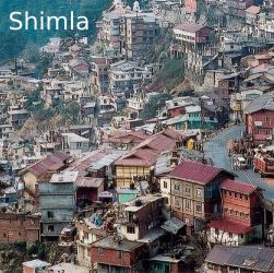  courses in Shimla