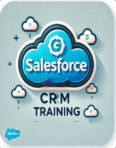 SalesForce Training in Kozhikode